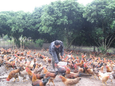 Pembangunan pedesaan baru di kecamatan Dong Tam, kabupaten Yen The, provinsi Bac Giang